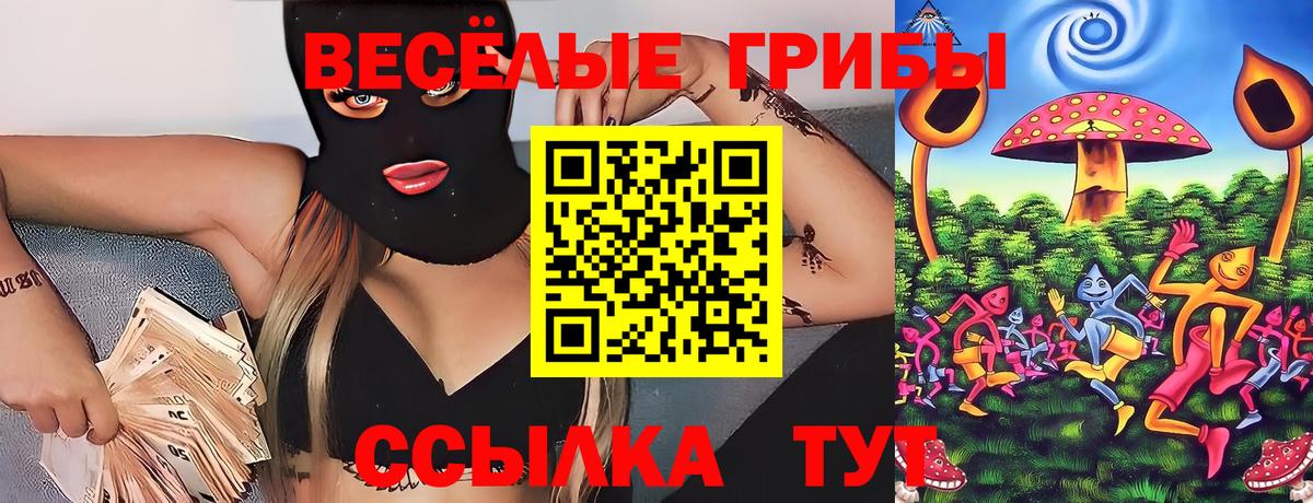 Галлюциногенные грибы ЛСД Звенигород